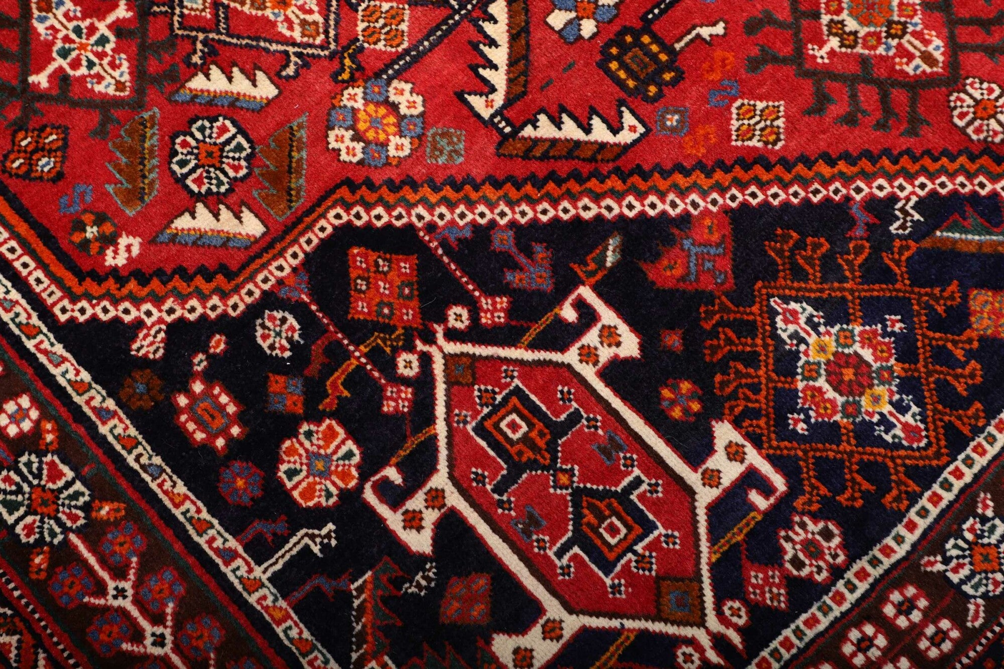 Shiraz | 252 cm x 160 cm | Nr. 12-459843