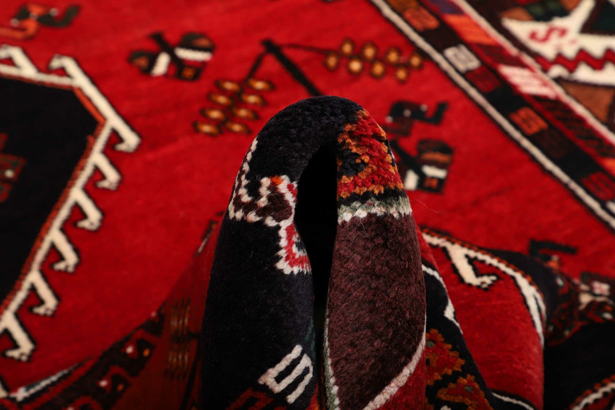 Shiraz | 253 cm x 175 cm | Nr. 12-459851