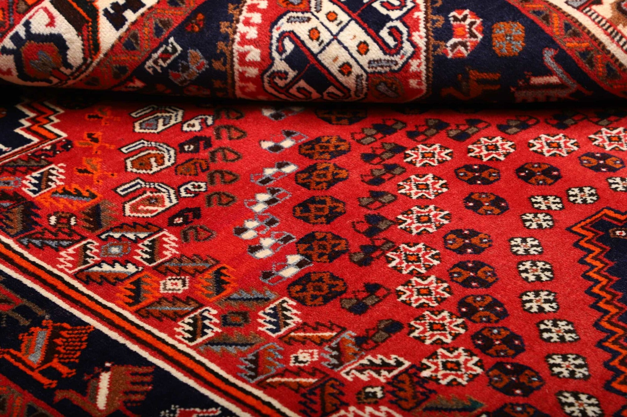 Shiraz | 277 cm x 165 cm | Nr. 12-459852
