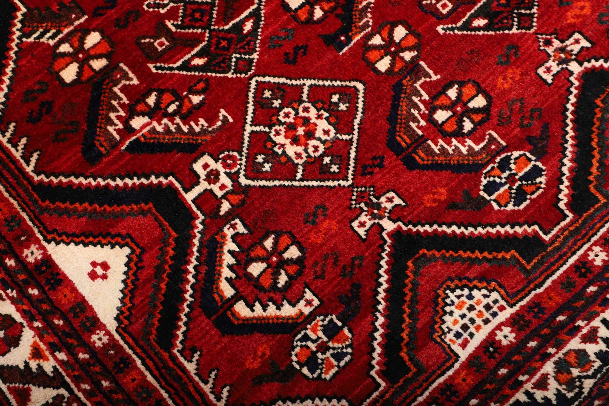 Shiraz | 264 cm x 169 cm | Nr. 12-459858