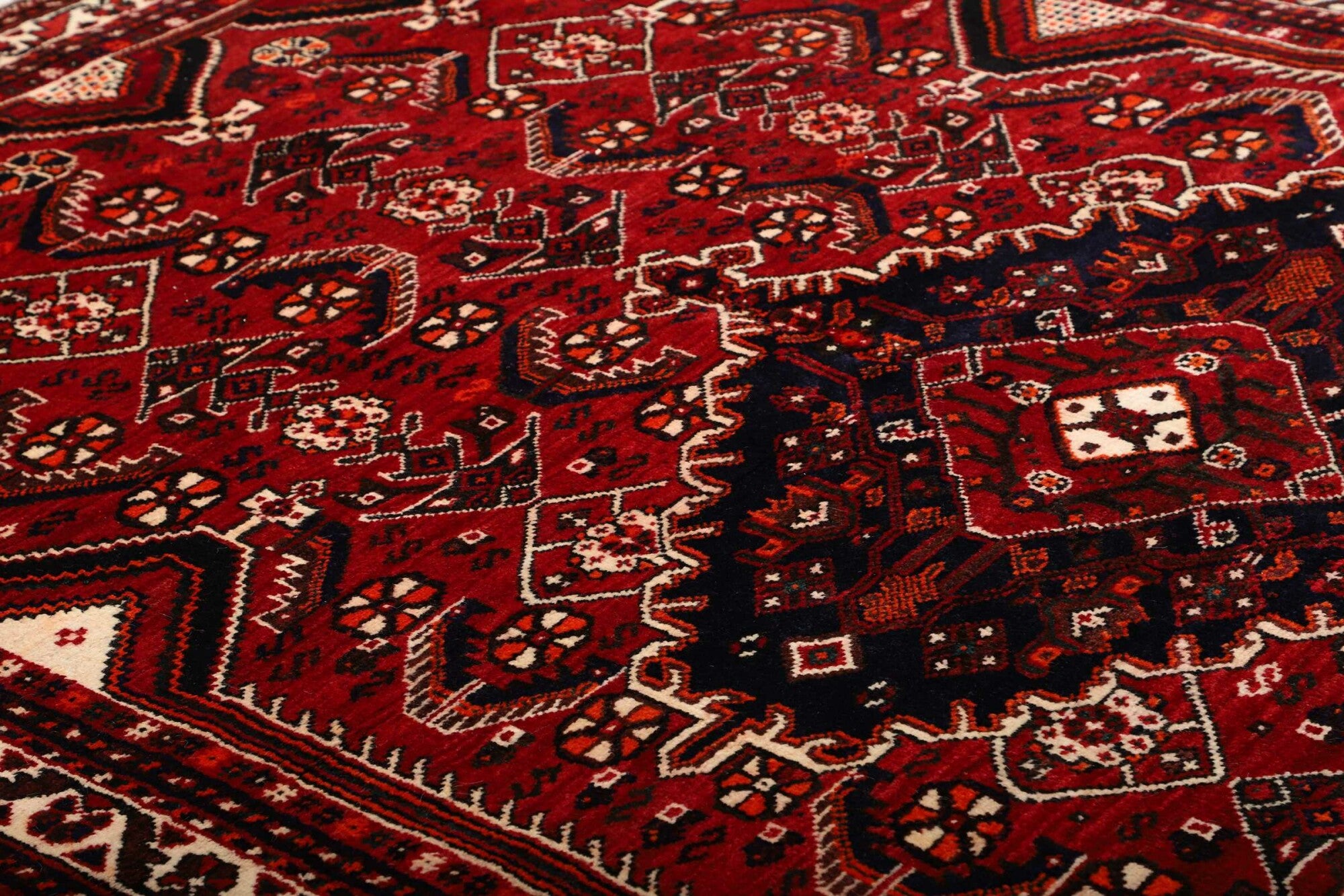 Shiraz | 264 cm x 169 cm | Nr. 12-459858