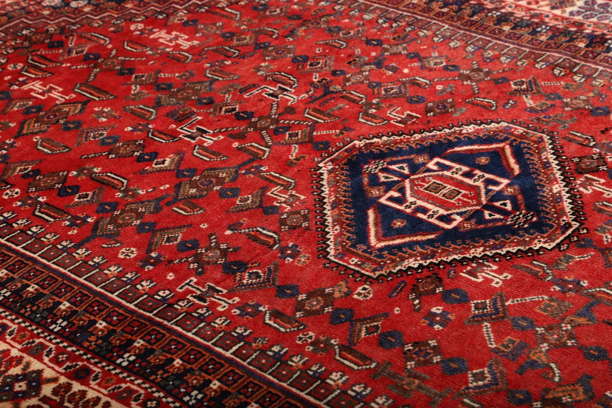 Shiraz | 260 cm x 160 cm | Nr. 12-459860