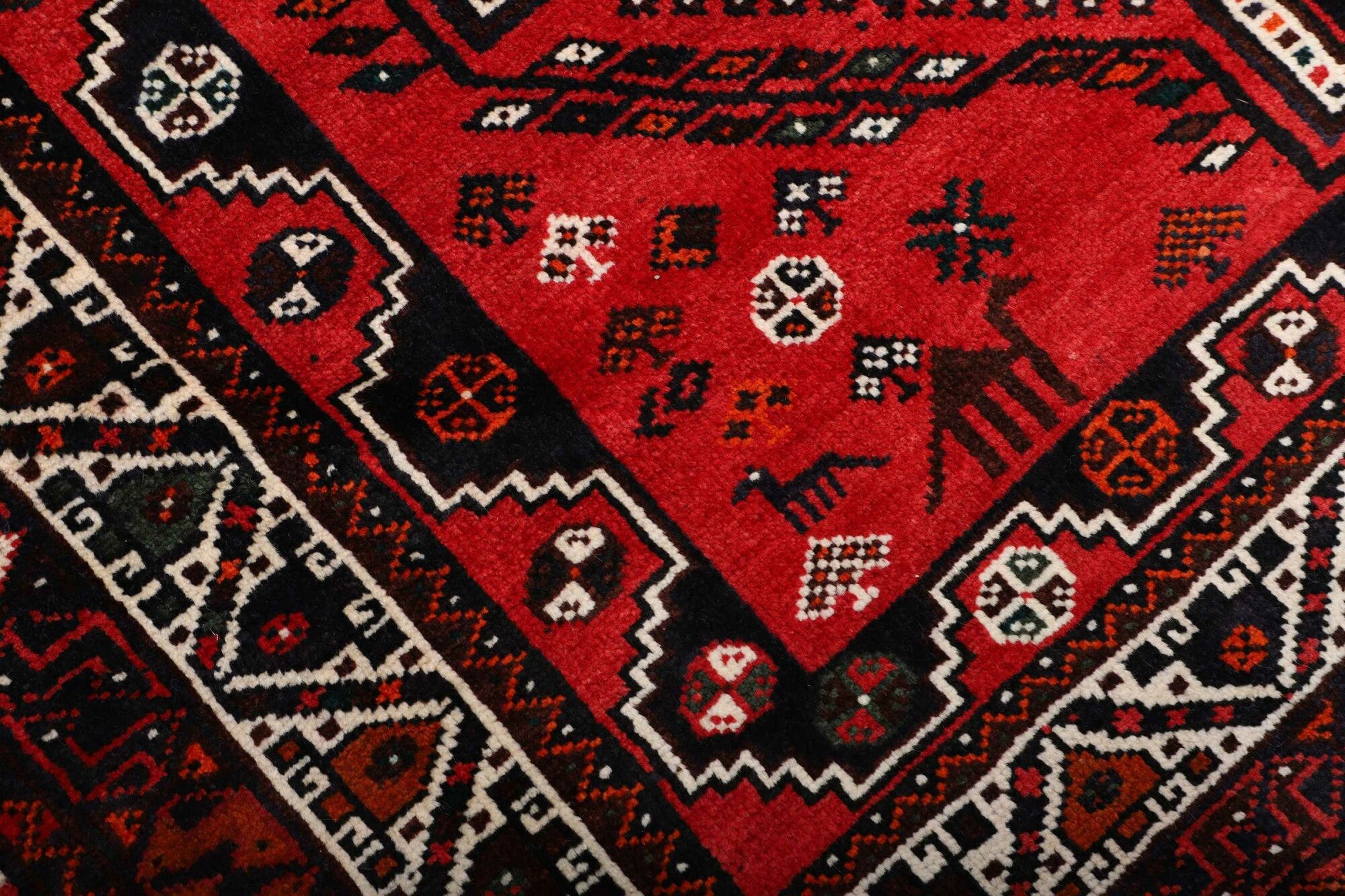Shiraz | 251 cm x 171 cm | Nr. 12-459867