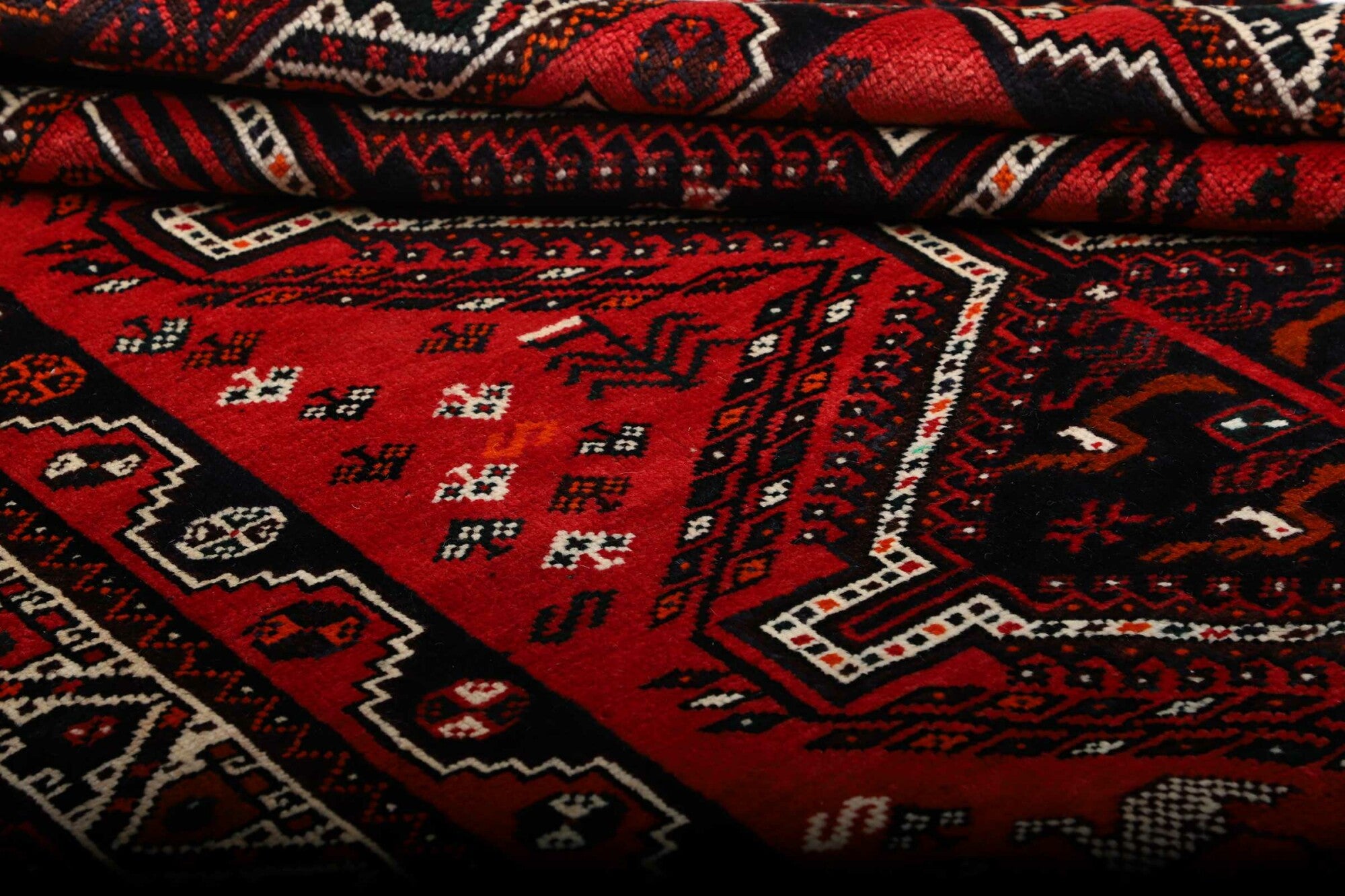 Shiraz | 251 cm x 171 cm | Nr. 12-459867