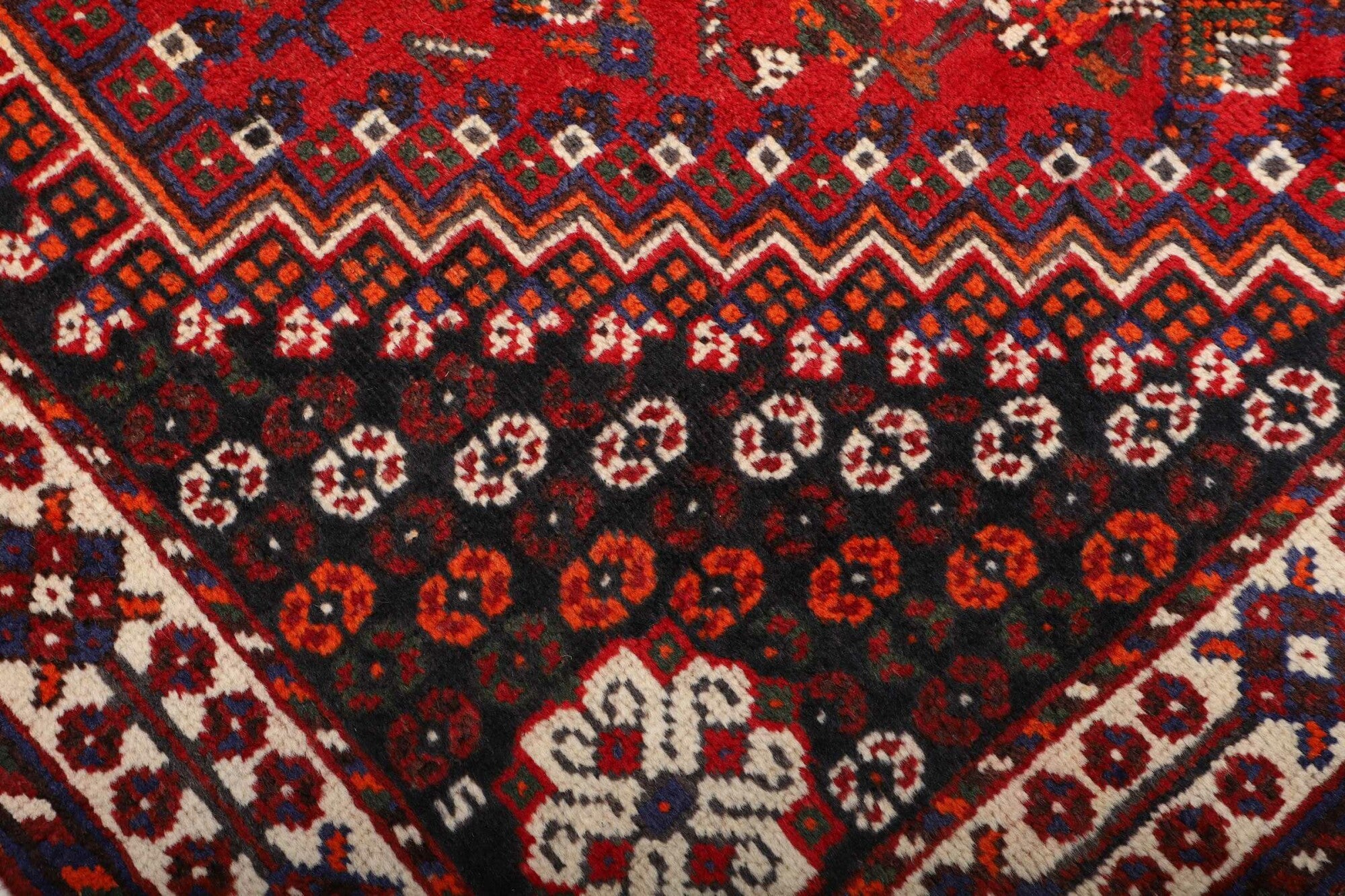 Shiraz | 253 x 160 cm | Nr. 12-459869