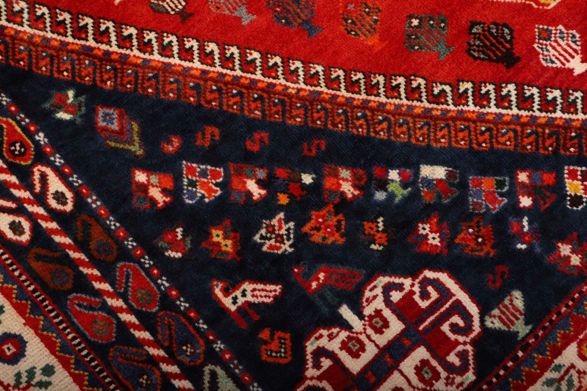 Shiraz | 262 cm x 170 cm | Nr. 12-459870