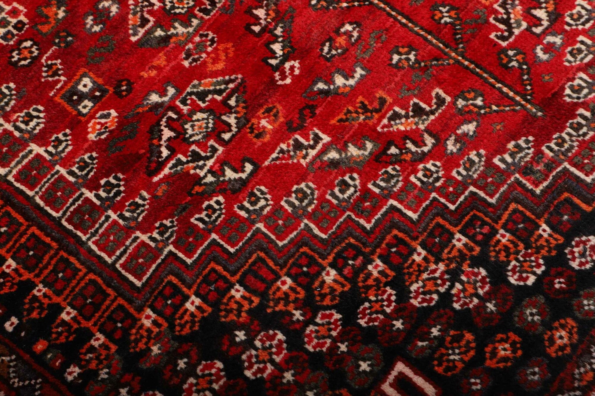 Shiraz | 248 x 162 cm | Nr. 12-459874