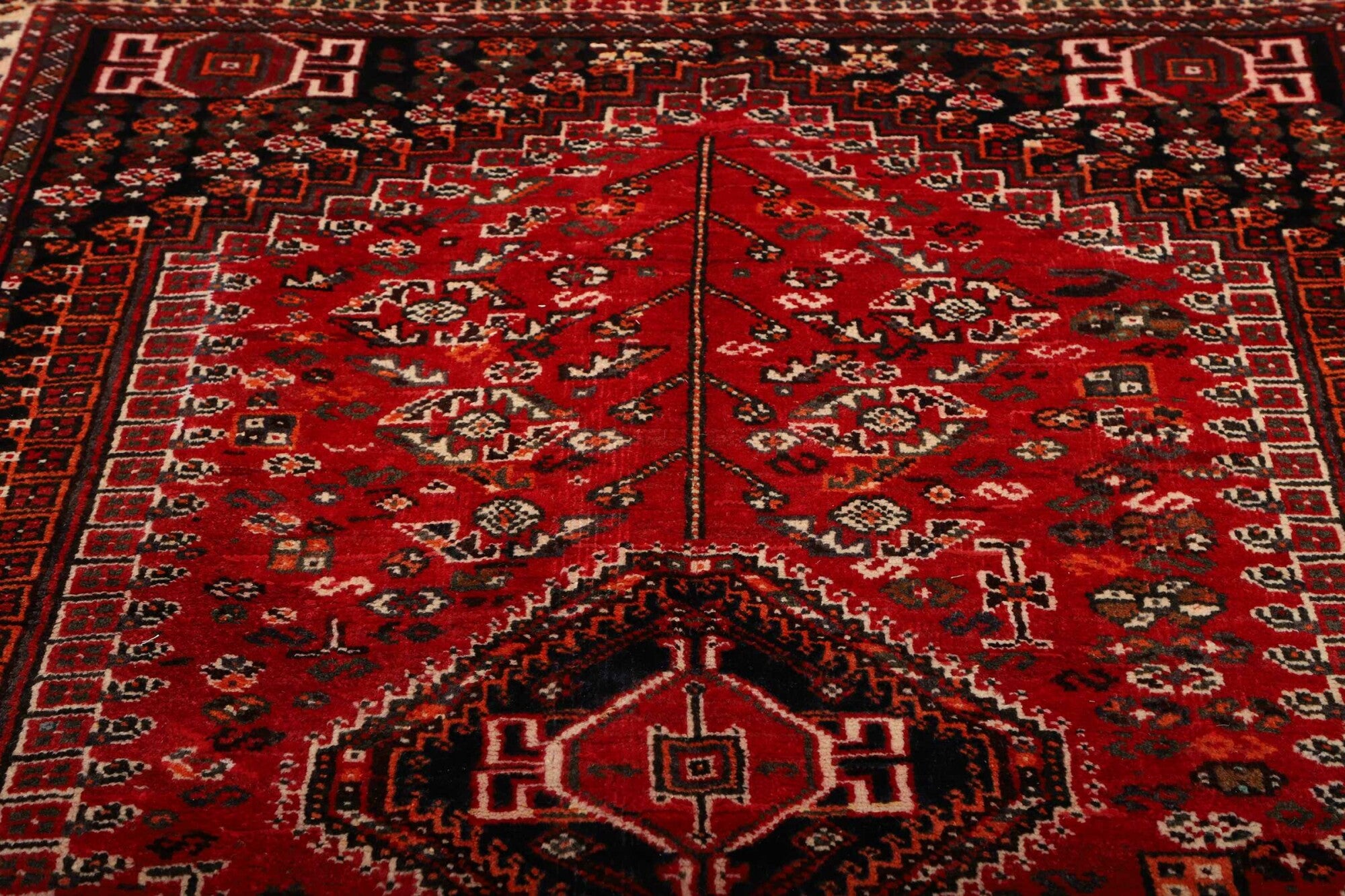 Shiraz | 248 x 162 cm | Nr. 12-459874