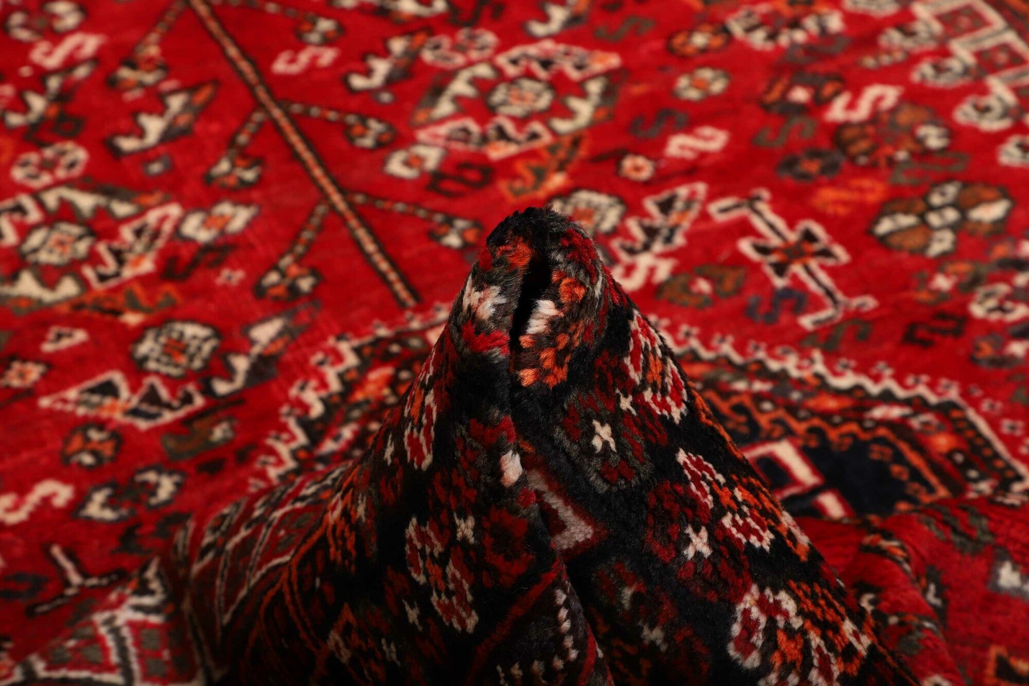 Shiraz | 248 x 162 cm | Nr. 12-459874