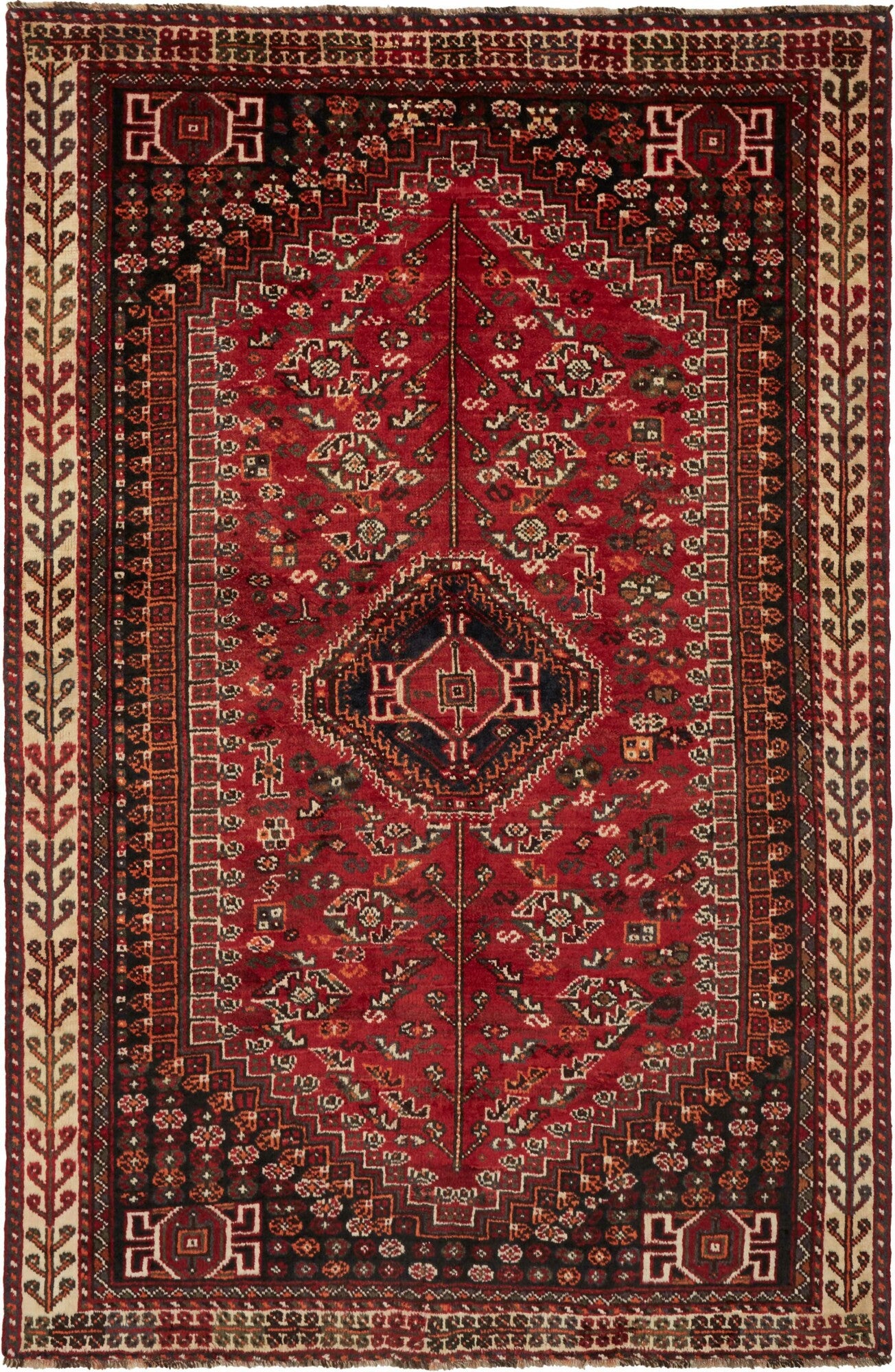 Shiraz | 248 cm x 162 cm | Nr. 12-459874