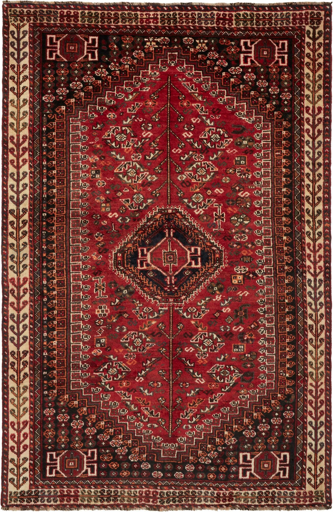 Shiraz | 248 x 162 cm | Nr. 12-459874