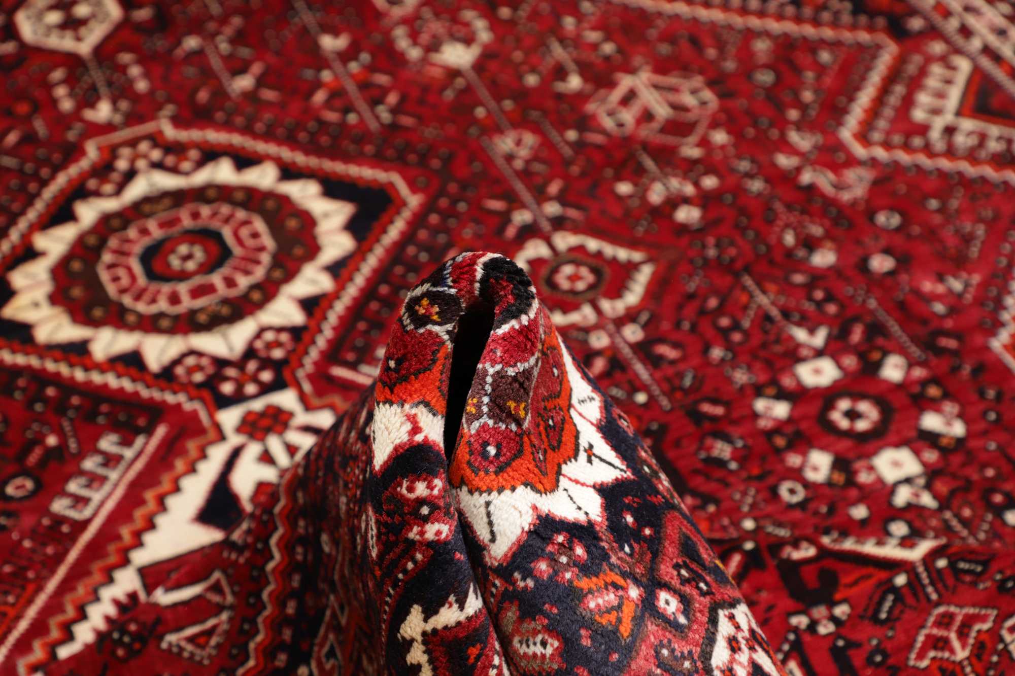 Shiraz | 315 x 220 cm | Nr. 12-471745