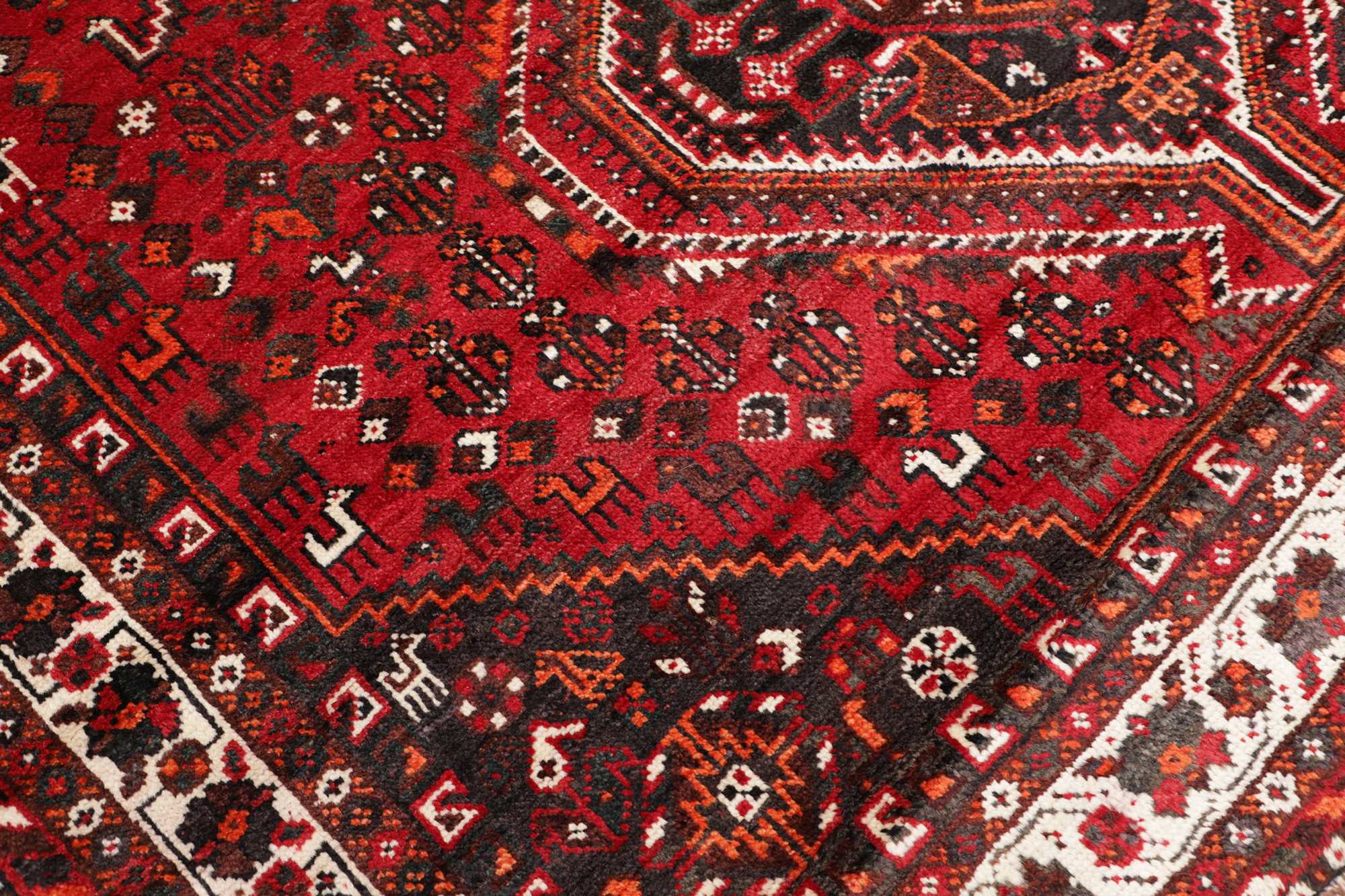 Shiraz | 300 x 225 cm | Nr. 12-471746