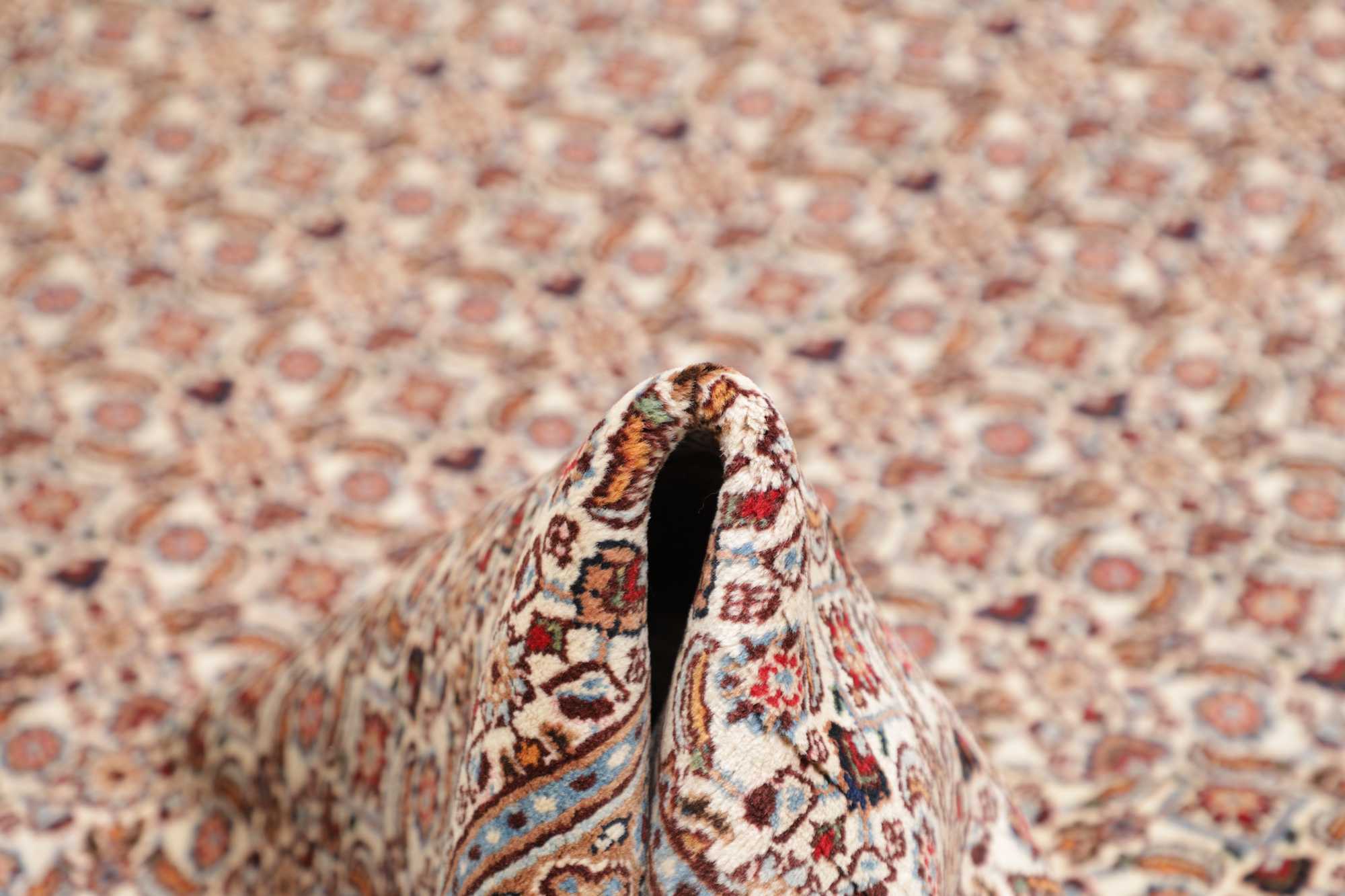 Moud | 312 cm x 218 cm | Nr. 12-484349
