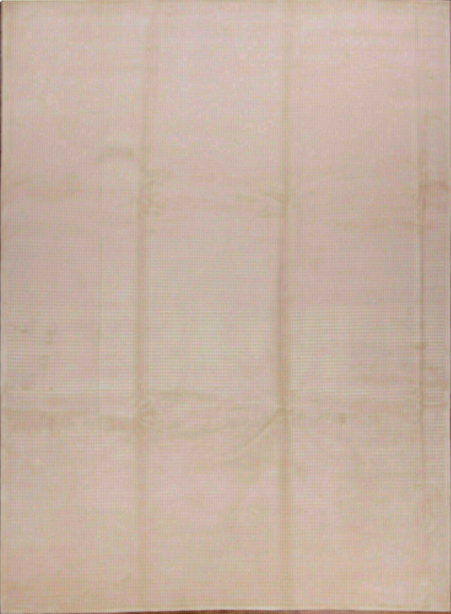 Nepal rug | 350 x 260 cm | Nr. 12-229484