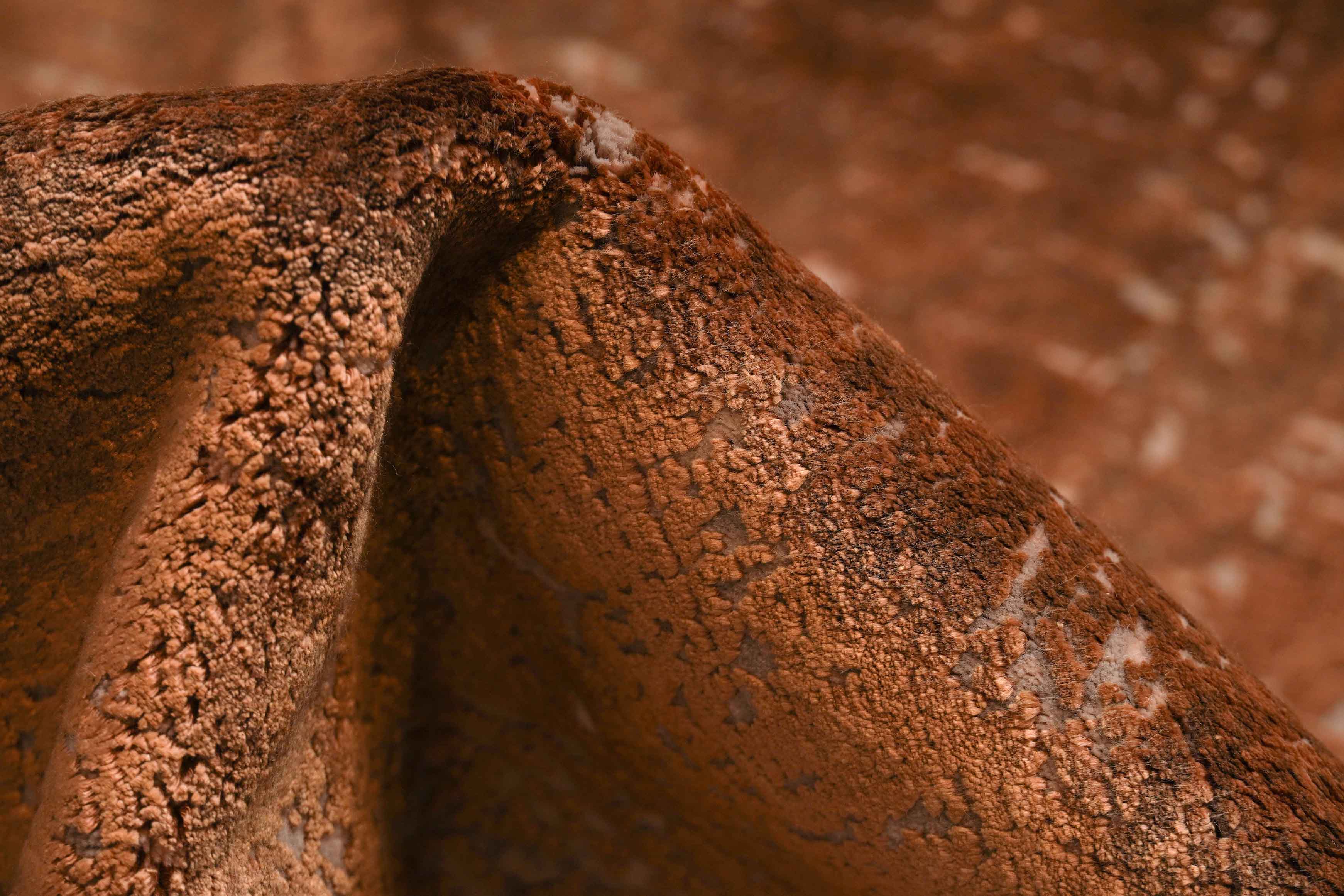 Designer Maschiny | 280 cm x 196 cm | Nr. Z-2797