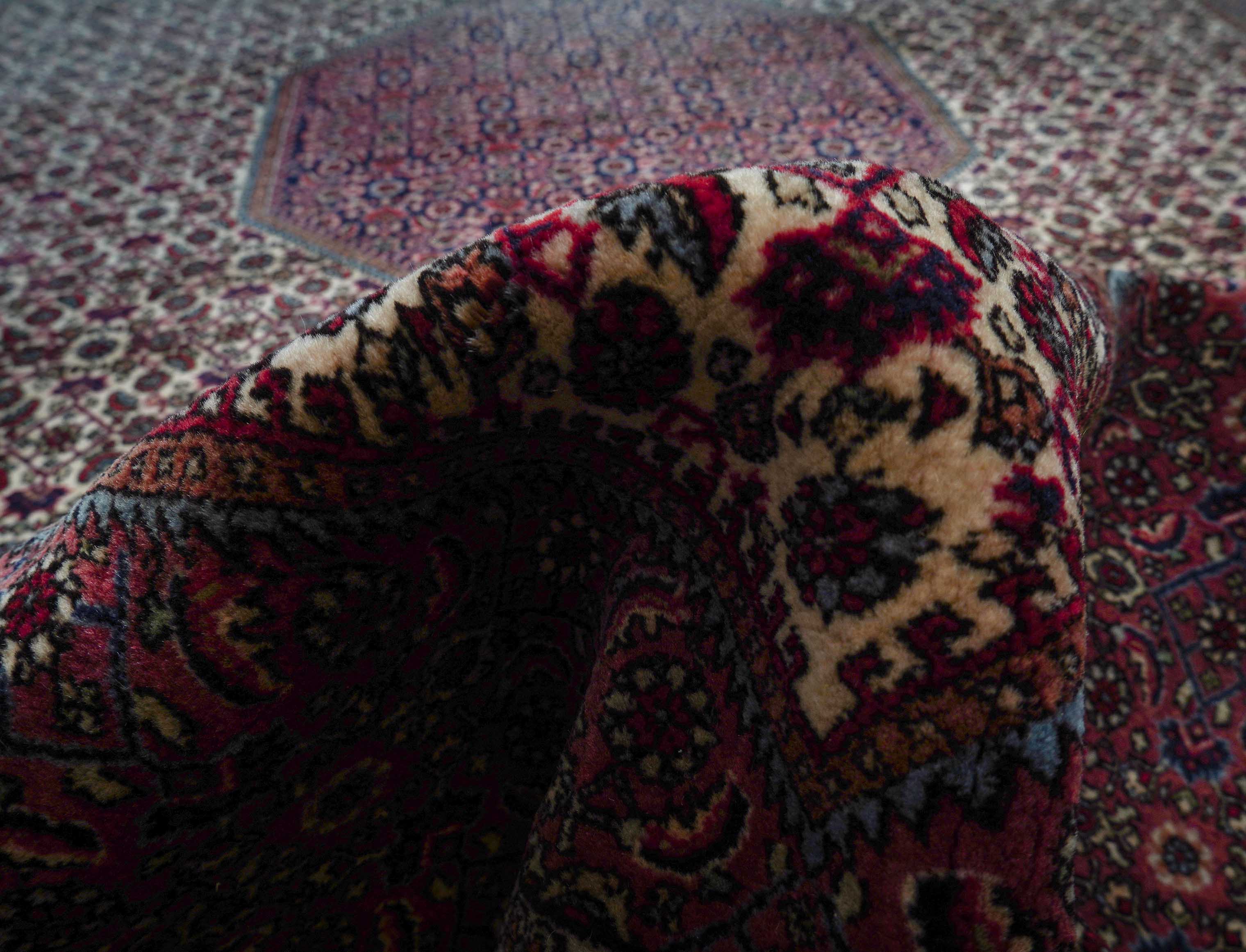 Bidjar | 340 cm x 241 cm | Nr. Z-2916