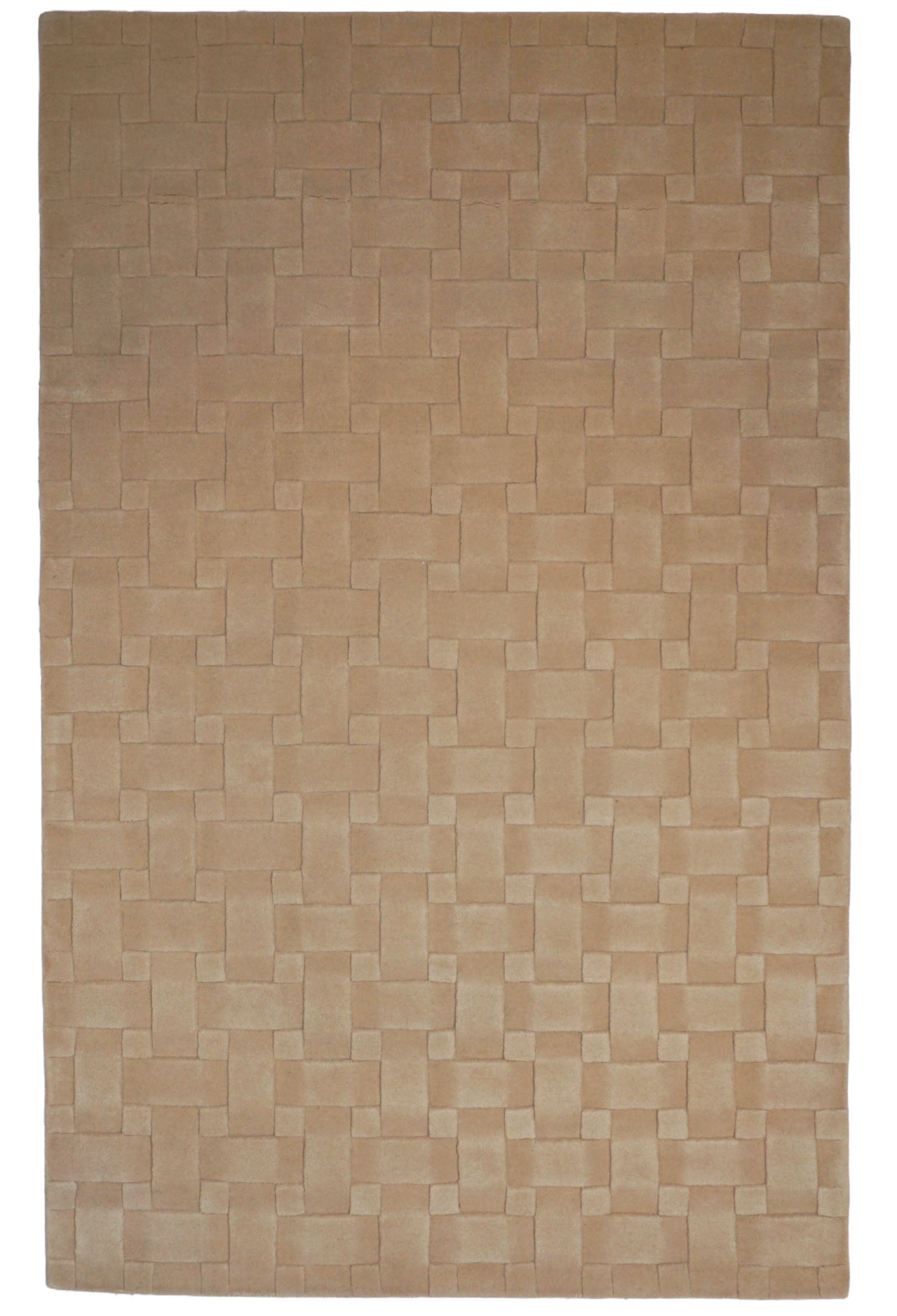 Handgetufteter Moderner Designer Teppich | 244 cm x 152 cm | Nr. Z-3905