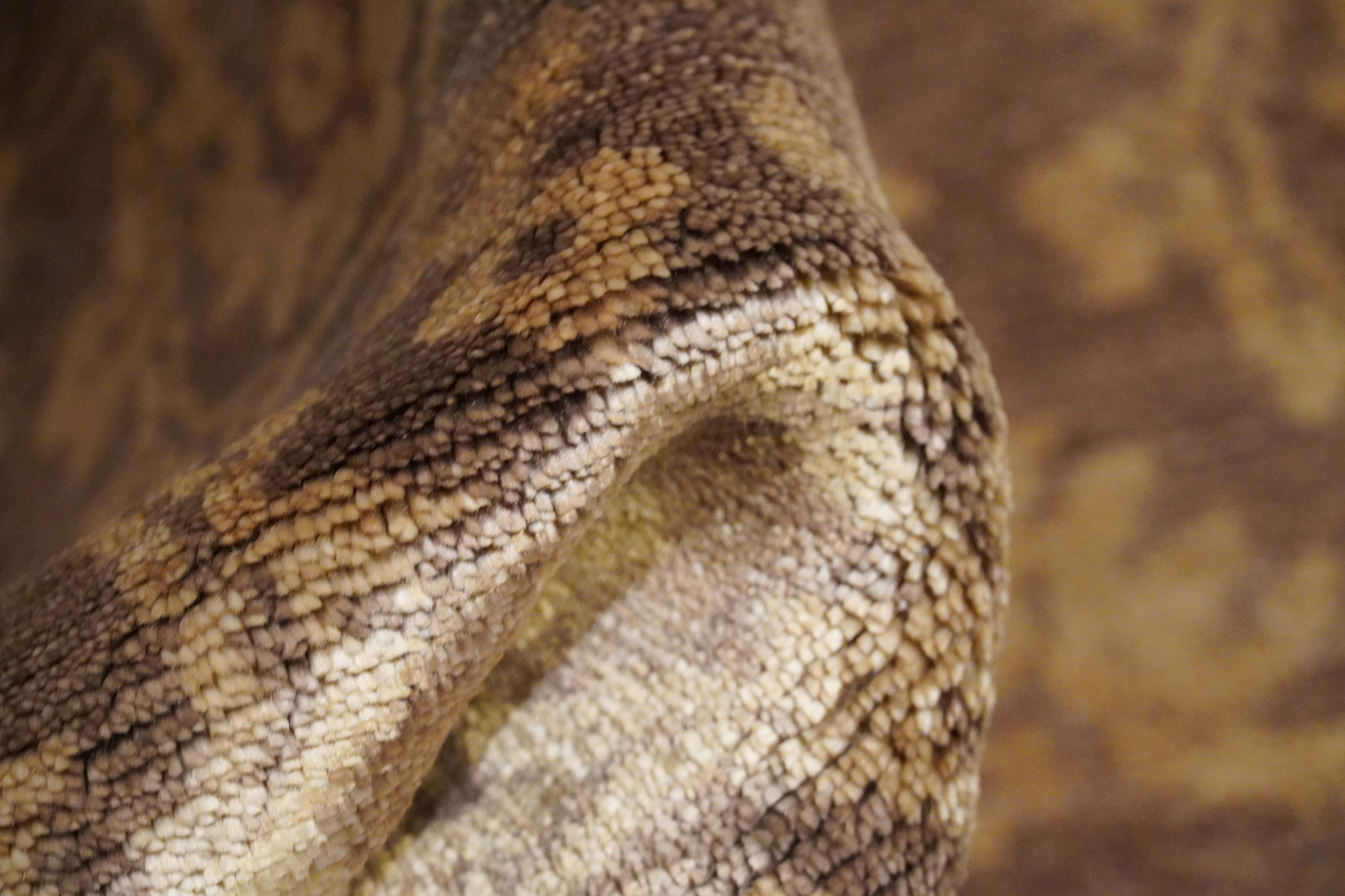 Tapis | 88 cm x 61 cm | Nr. Z-4102