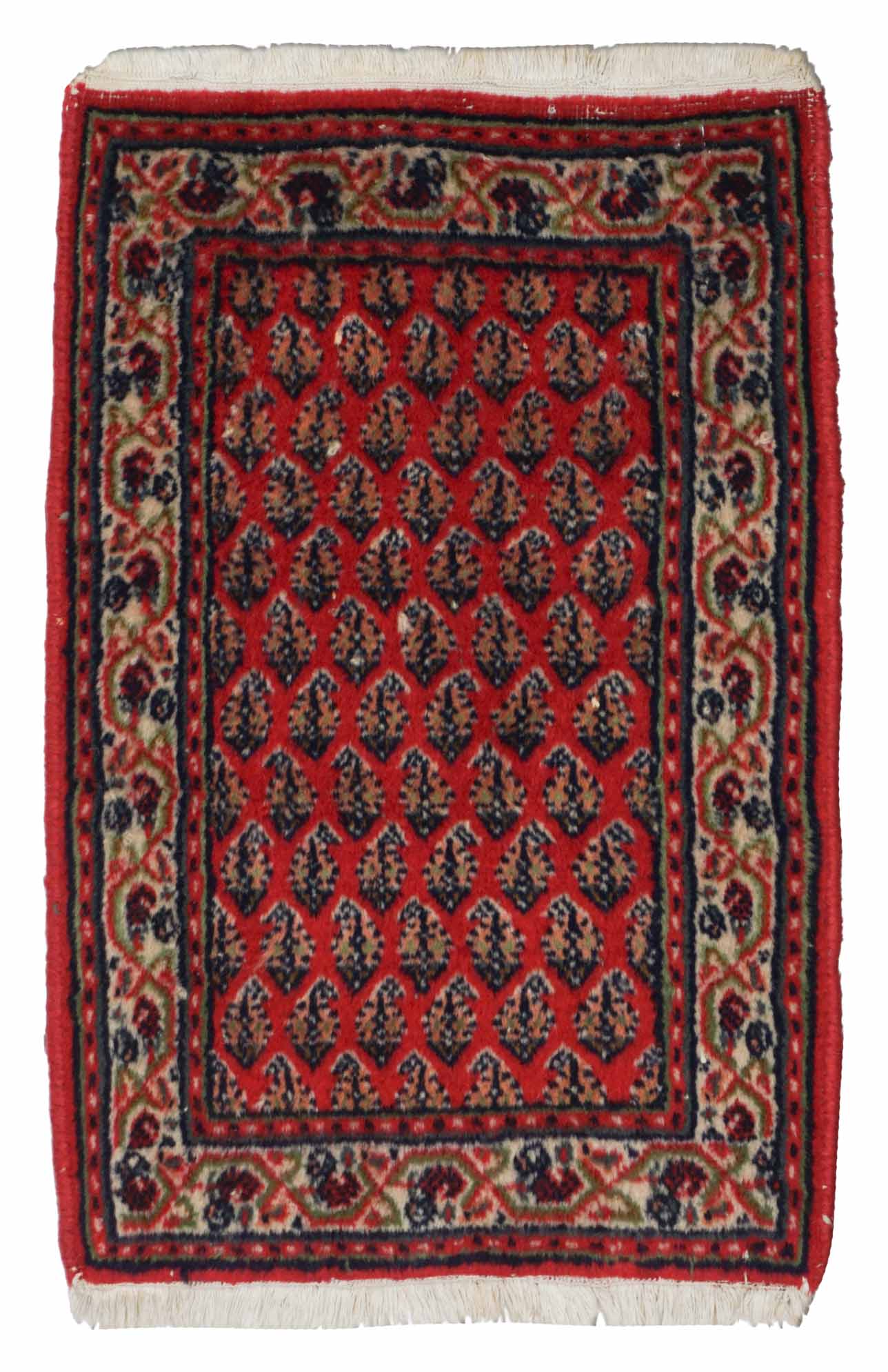 Indischer Sarough Mir | 61 cm x 41 cm | Nr. Z-4475