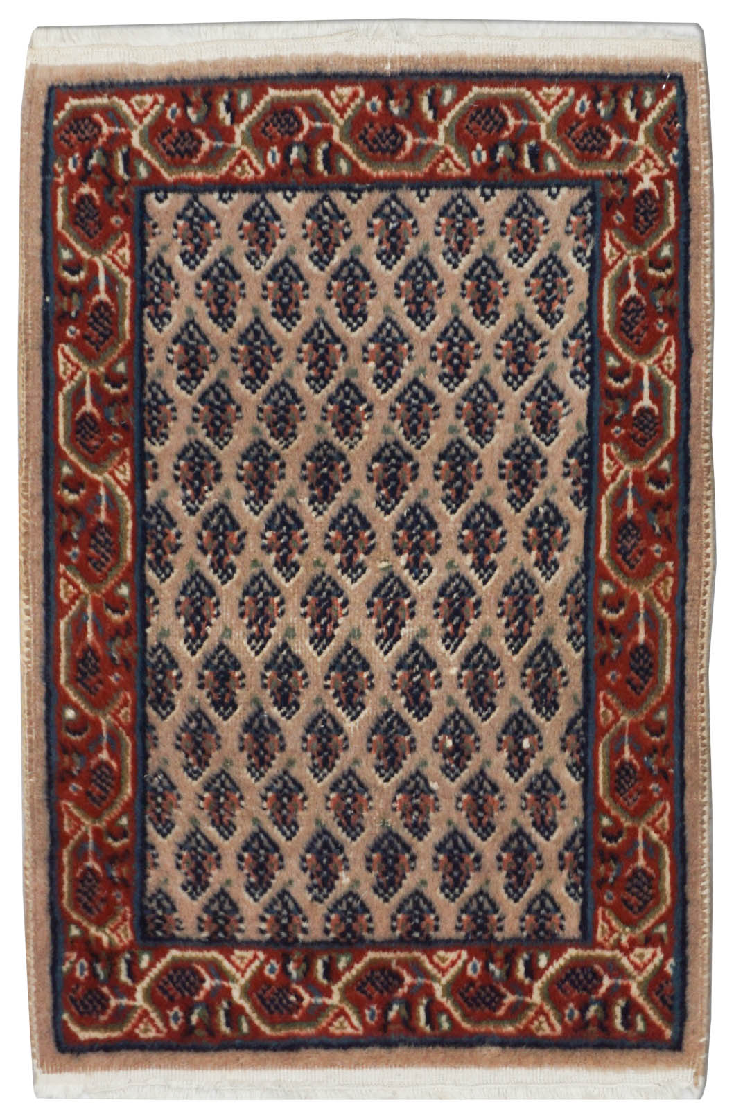 Sarough Mir | 60 cm x 40 cm | Nr. Z-4636
