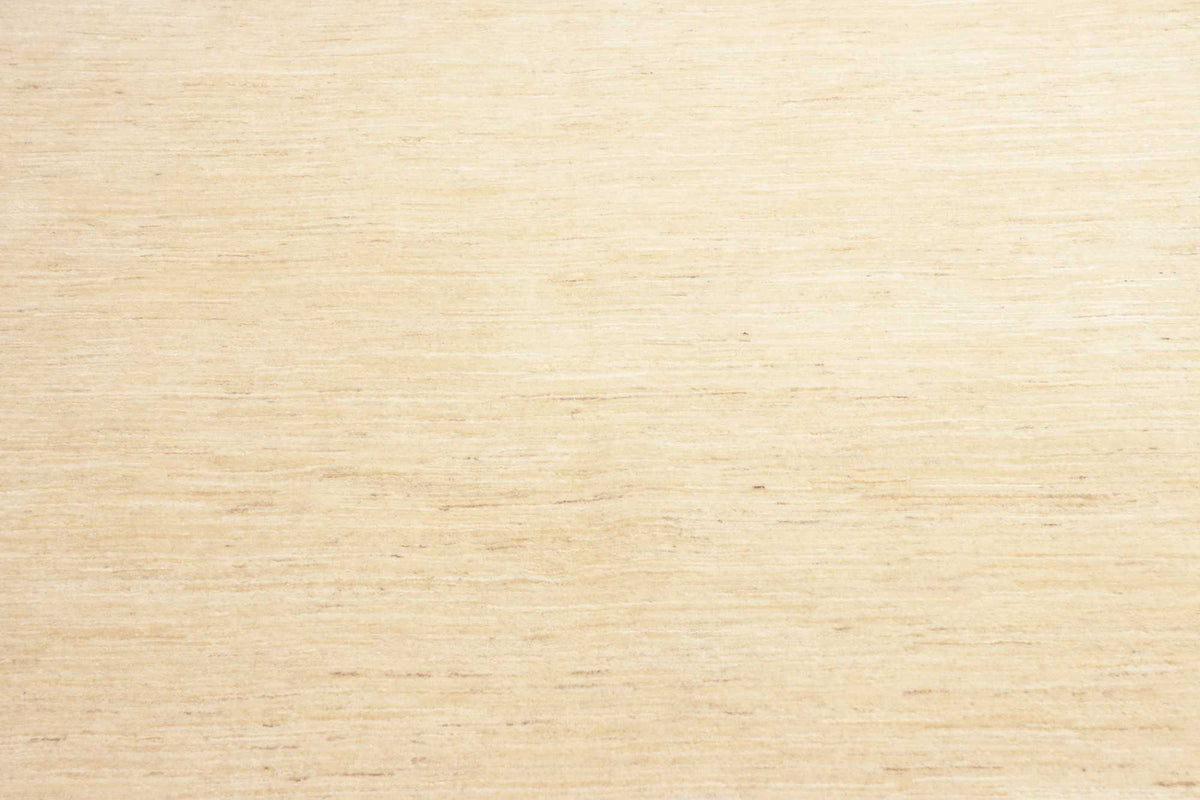 Lori | 313 cm x 204 cm | Nr. Z-4668