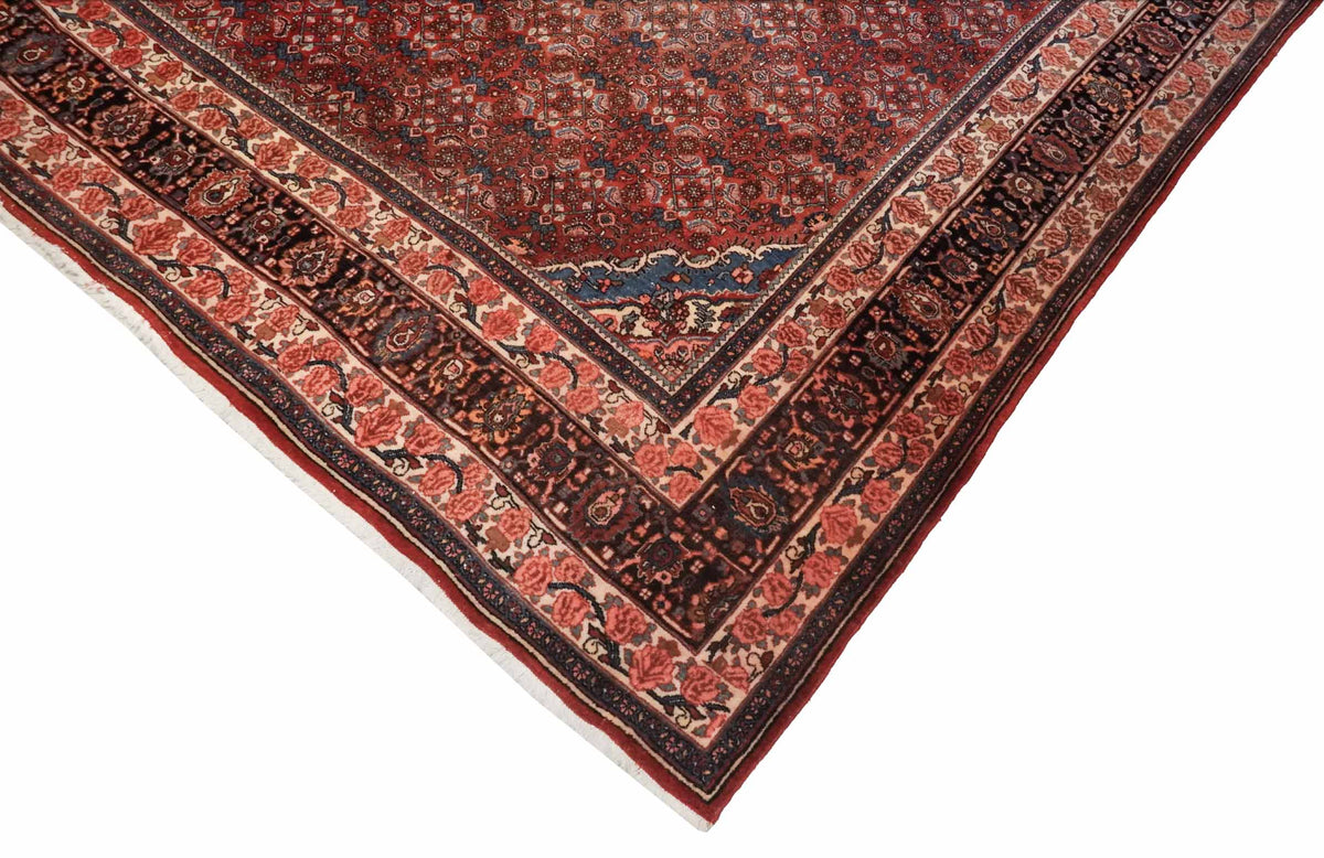 Alter Bidjar | 338 cm x 228 cm | Nr. Z-4672