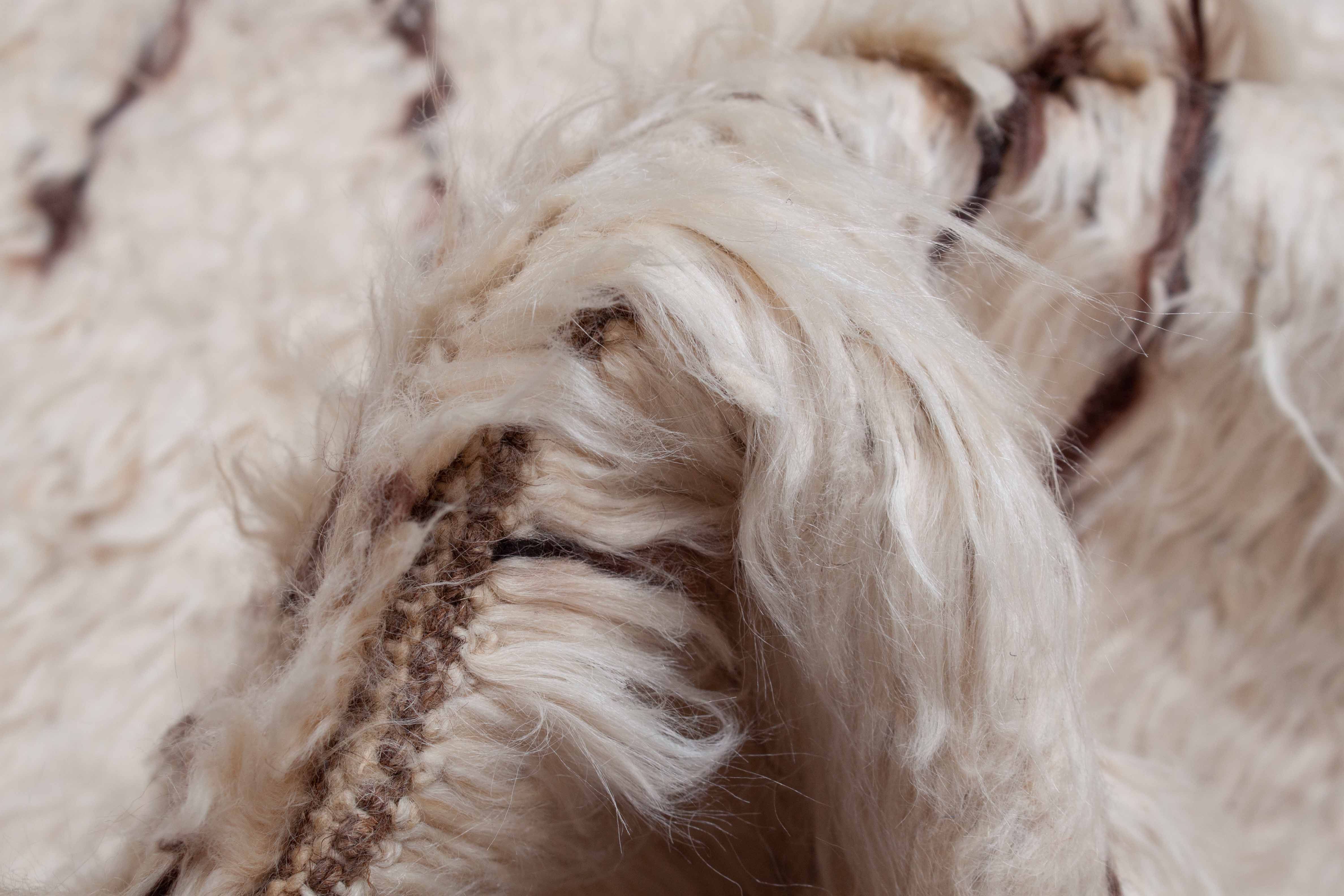 Eine Fotoaufnahme eines Furry Berber Teppichs.