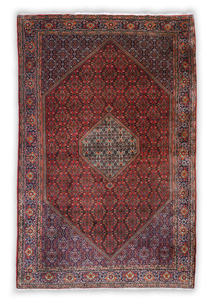 Bidjar | 348 cm x 225 cm | Nr. 20426